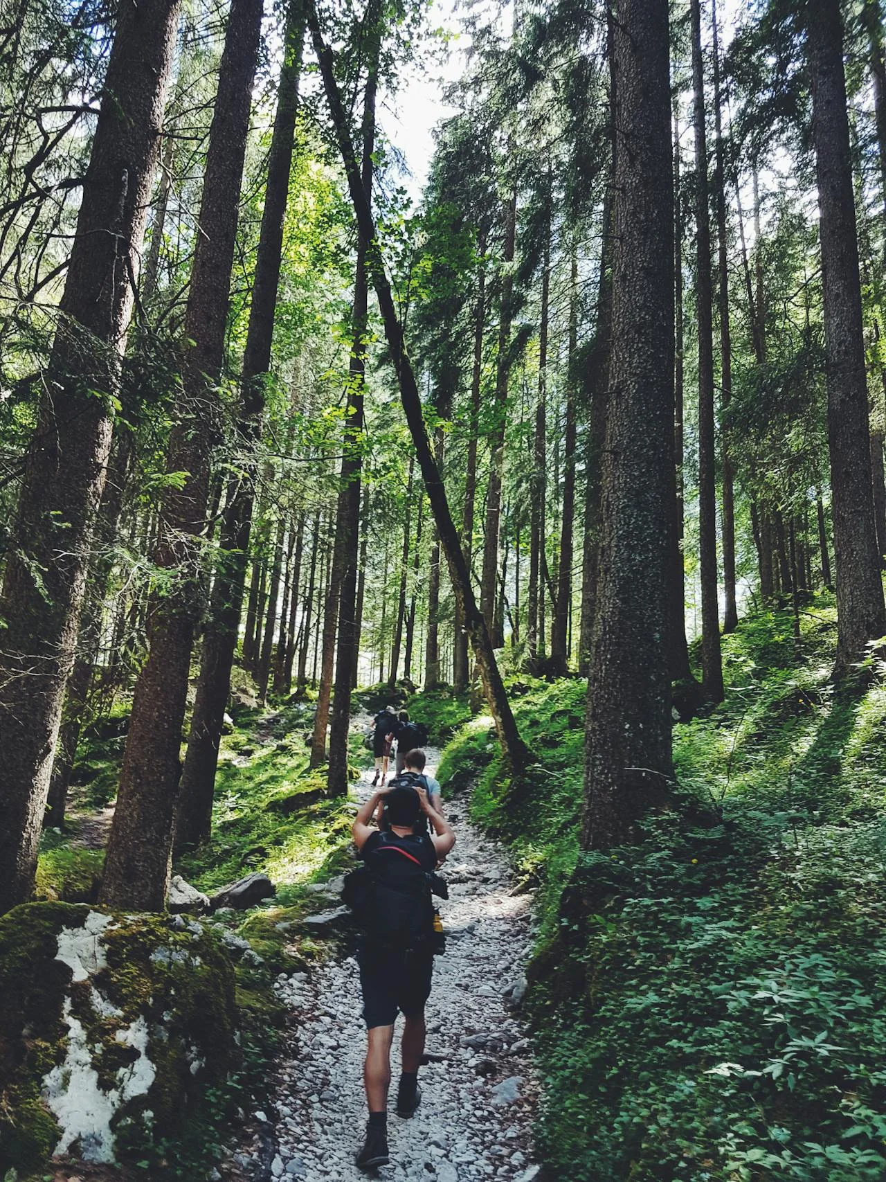 10 Best Hikes in Maryland Suggested by Natives 