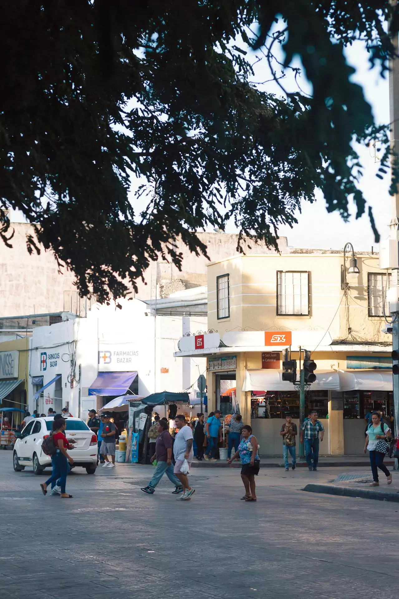 12 Best Hostels In Mexico City 2025: Best Rated