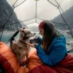 23 Essential Dog Camping Gear Checklist