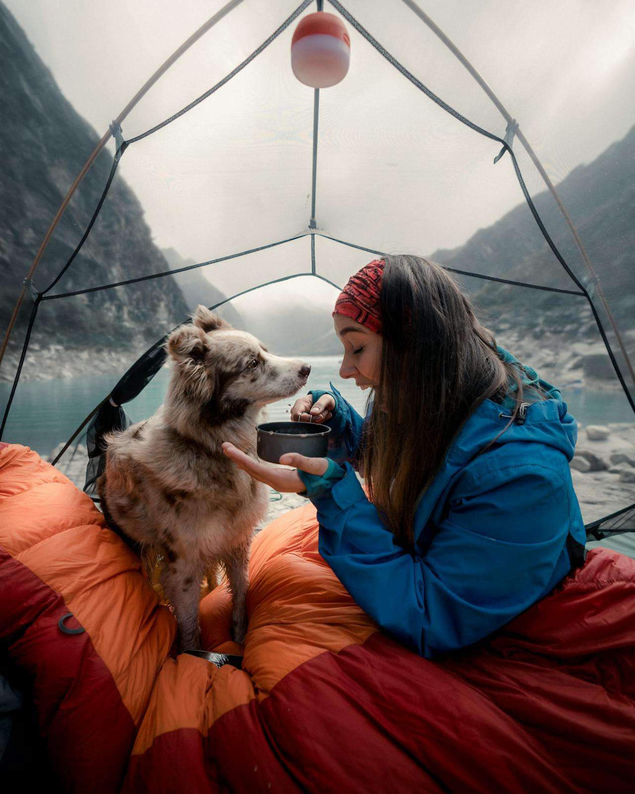 23 Essential Dog Camping Gear Checklist