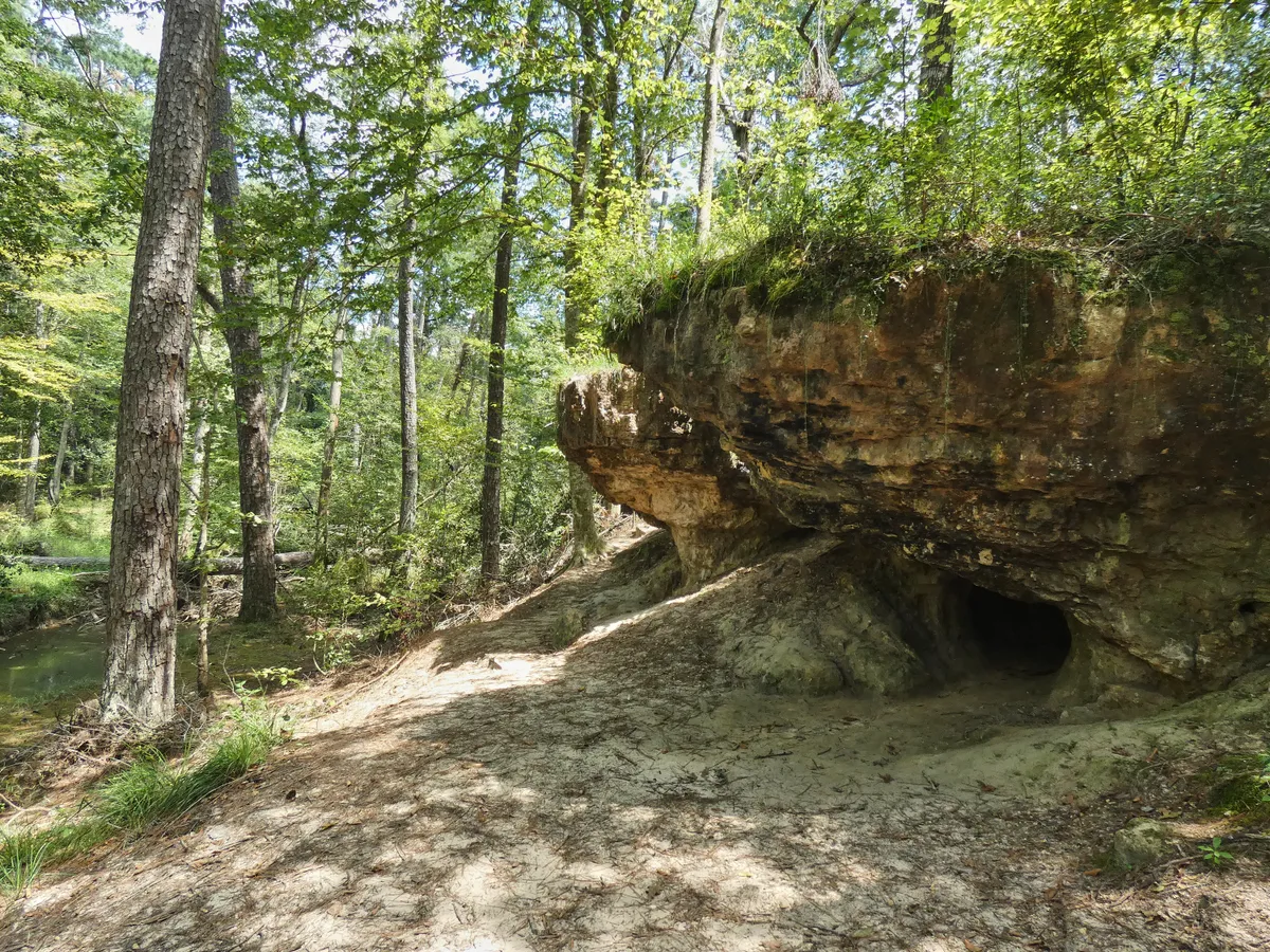 What Is Wolf Rock Cave (Everything You Need To Know)
