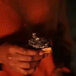 10 Best Camping Snacks for Outdoor Adventure