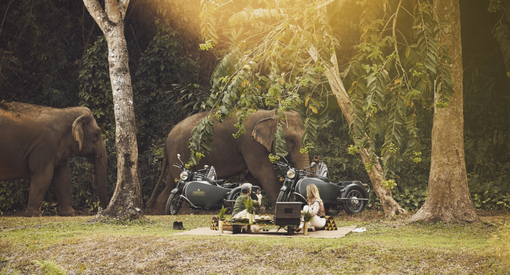 Anantara Golden Triangle Elephant Camp & Resort (Thailand)
