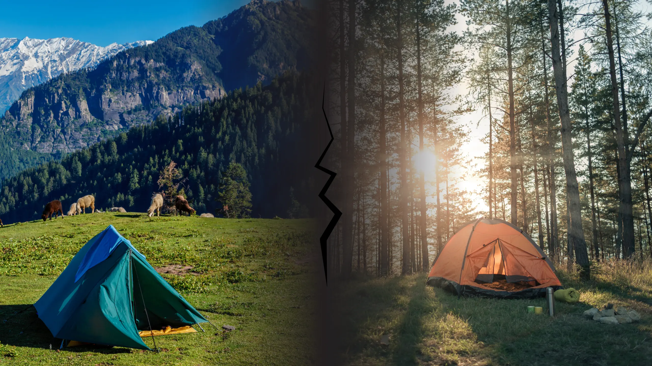 Mountain Camping vs Forest Camping in 2025