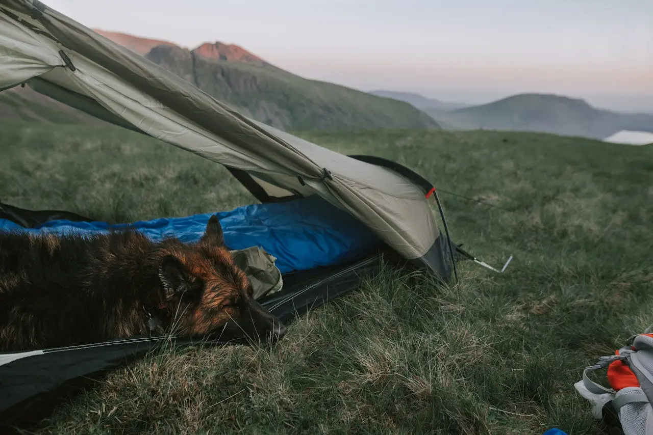 15 Best Summer Sleeping Bags for Camping in 2025